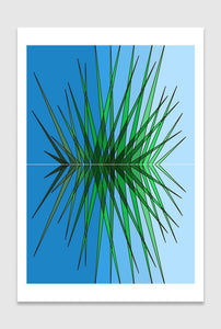 Pine Needles limited edition print designed by Spiros Baras.